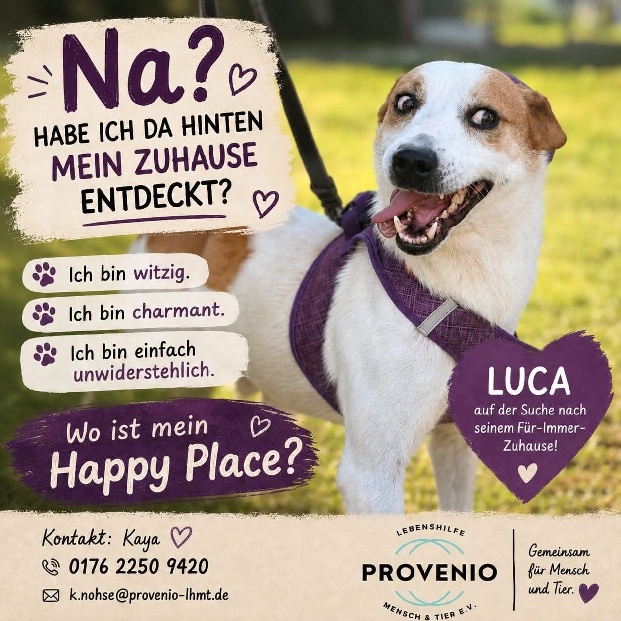 Luca
